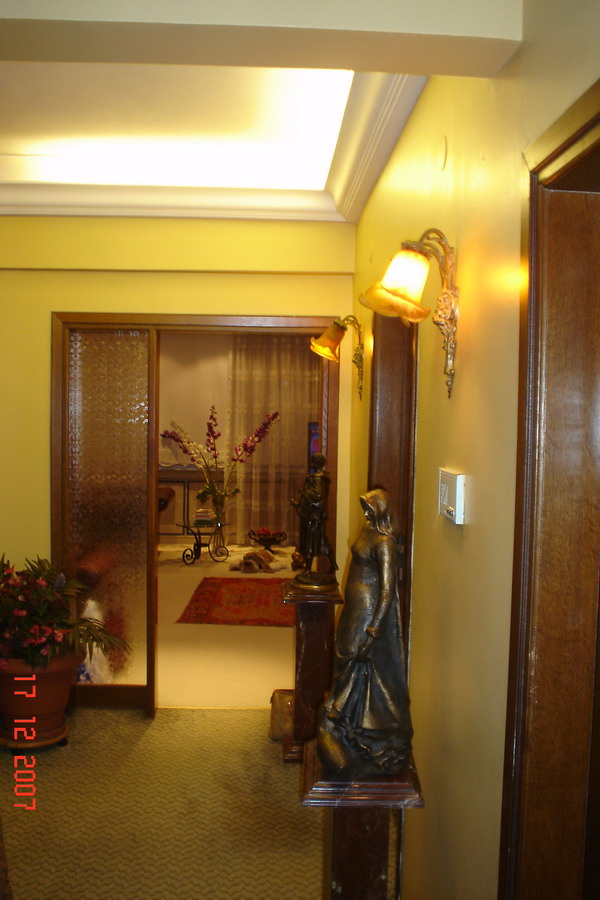 DSC04234